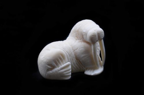 WALRUS IVORY CARVING